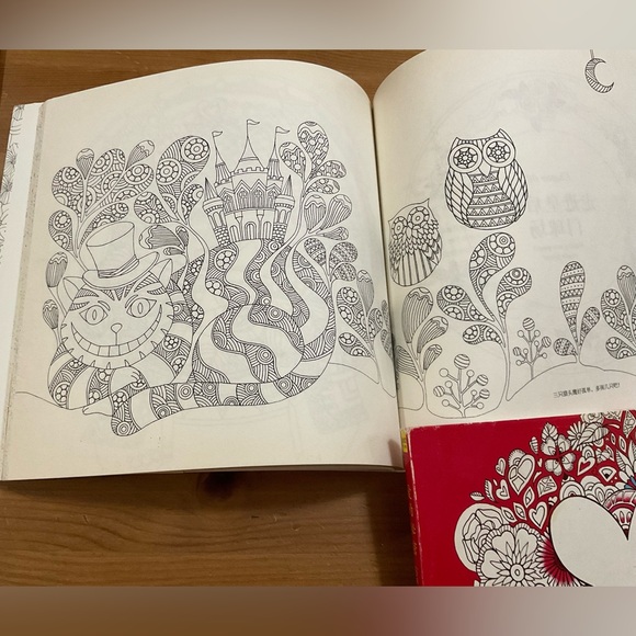 Amily Shen: Alice in Wonderland and Love Secret Chinese coloring  books duo/set - Picture 7 of 9